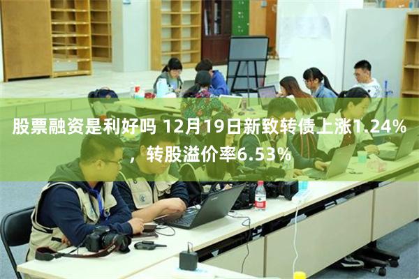 股票融资是利好吗 12月19日新致转债上涨1.24%，转股溢价率6.53%