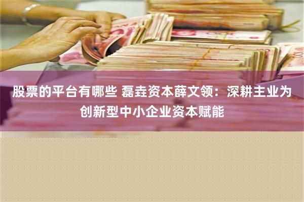 股票的平台有哪些 磊垚资本薛文领：深耕主业为创新型中小企业资本赋能